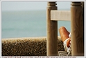 BARRE_RED_9_6_11_029